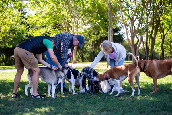 Dog Park at Van Raalte photo 1